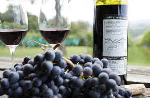 weinx1 rubin carnuntum